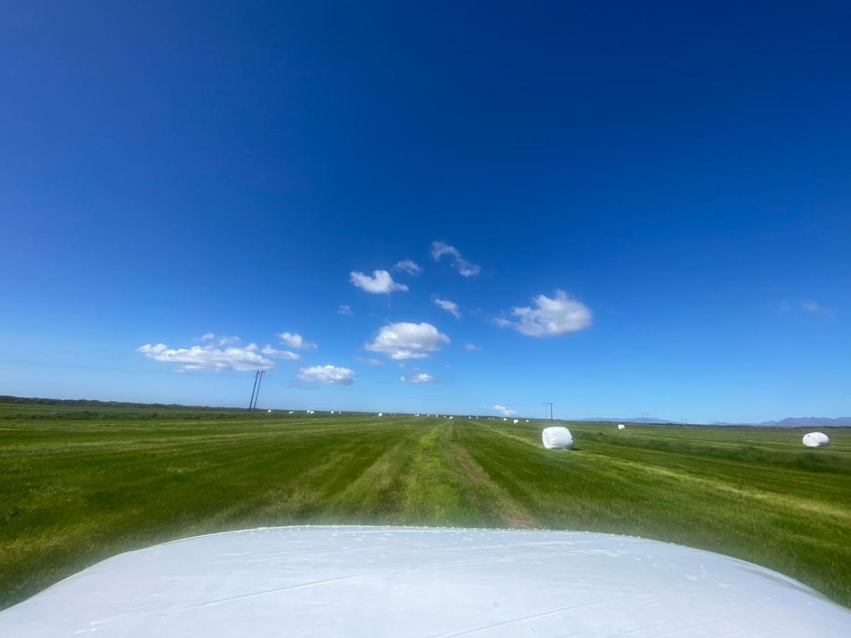 álftártunga Farm Borgarnes